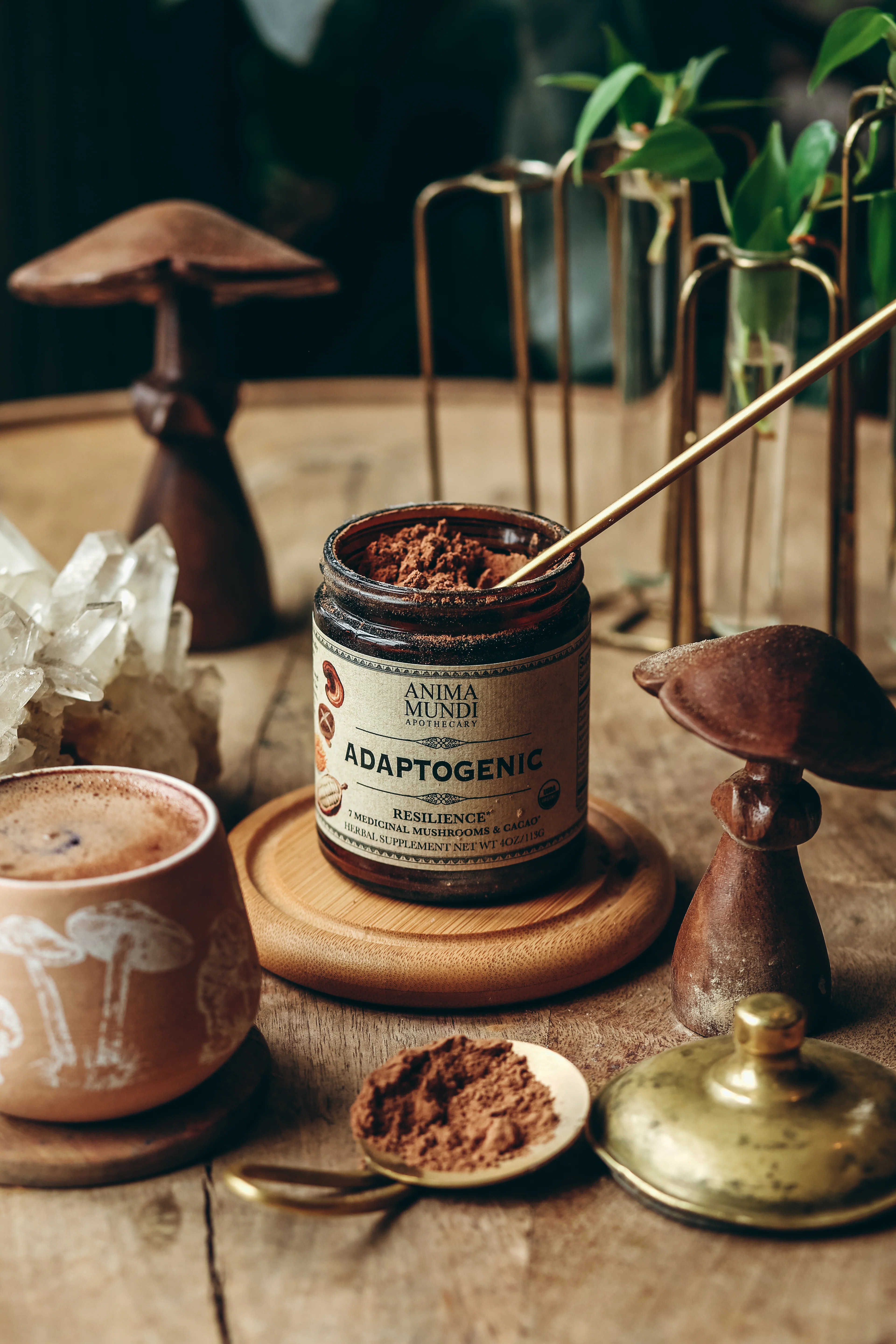 ADAPTOGENIC Powder | Organic, 7 Medicinal Mushrooms + Cacao - Image 3