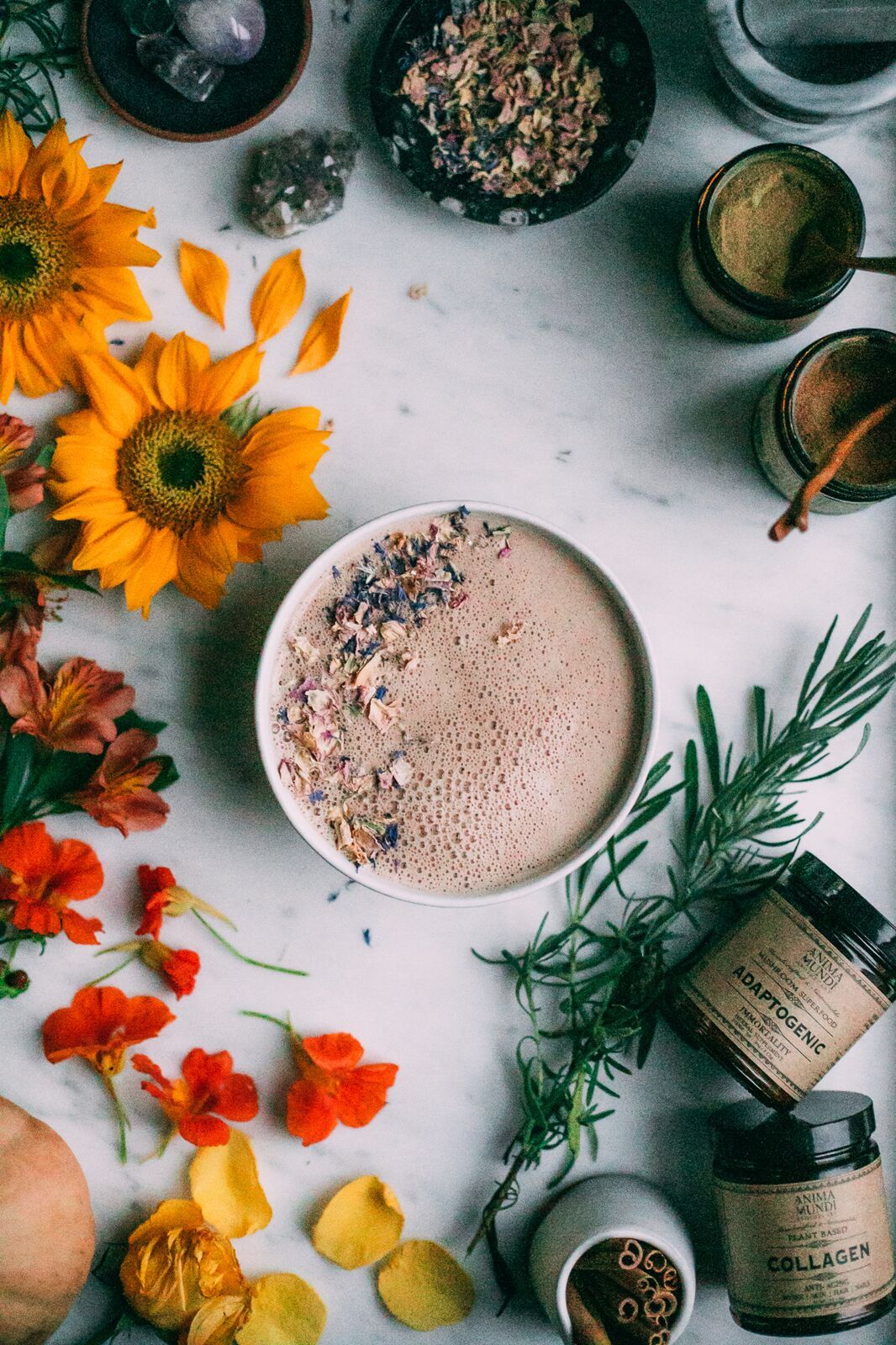 ADAPTOGENIC Powder | Organic, 7 Medicinal Mushrooms + Cacao - Image 9