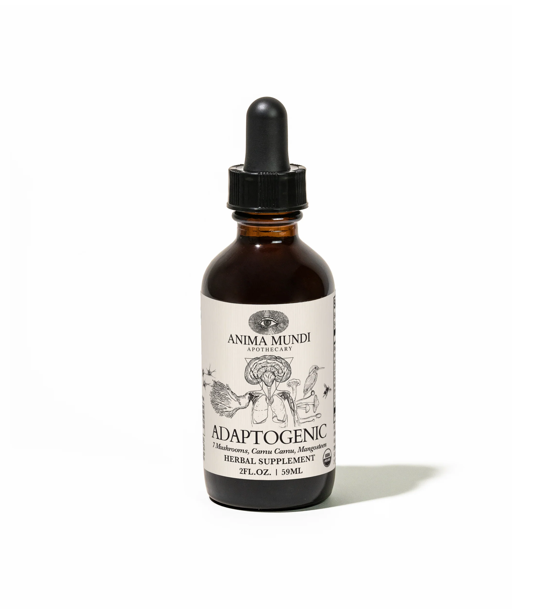 ADAPTOGENIC Tonic | Organic, 7 Mushrooms, Camu Camu, Mangosteen - Image 11
