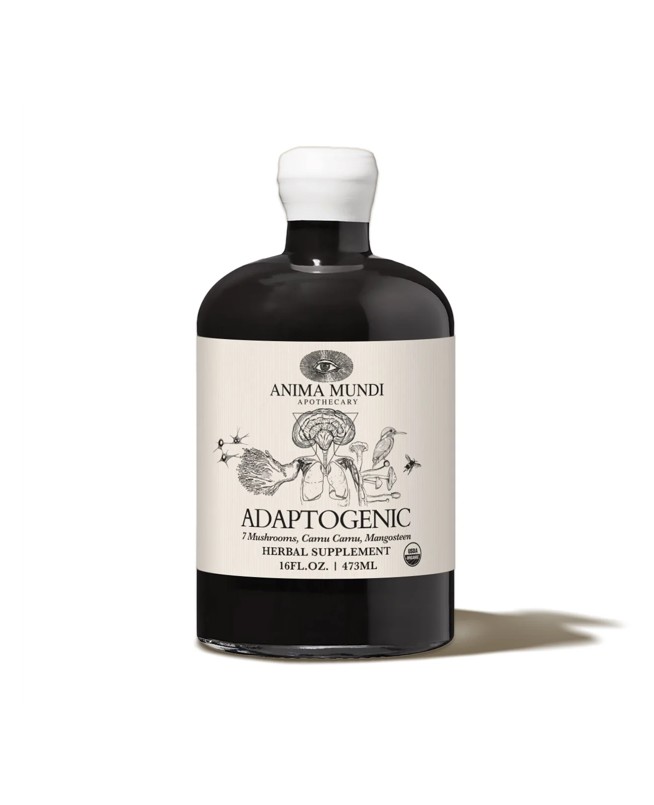 ADAPTOGENIC Tonic | Organic, 7 Mushrooms, Camu Camu, Mangosteen - Image 13