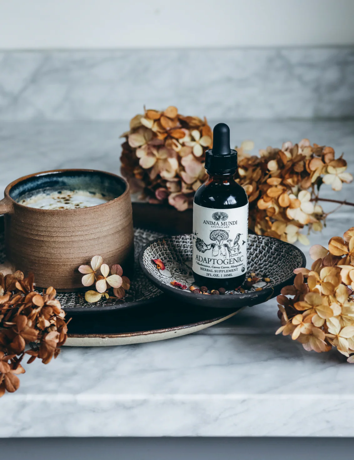 ADAPTOGENIC Tonic | Organic, 7 Mushrooms, Camu Camu, Mangosteen - Image 3