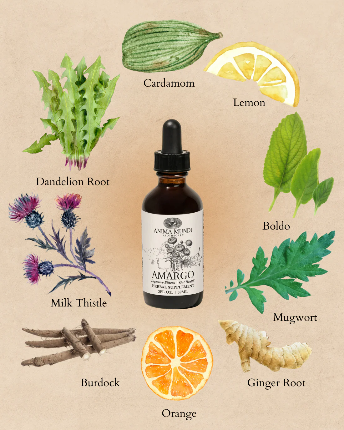 AMARGO Digestive Bitters | Gut Support* - Image 9