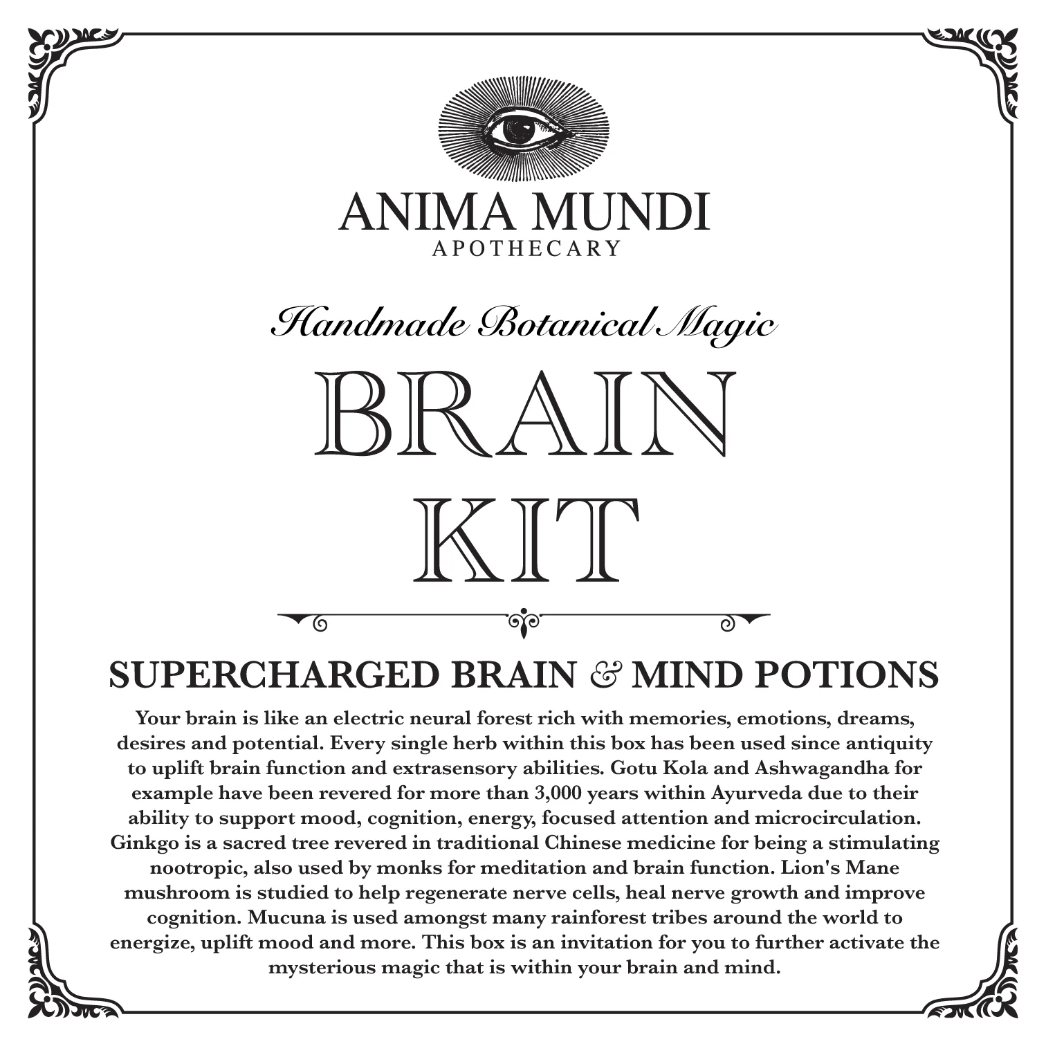 BRAIN KIT | Adaptogenic Nootropics* - Image 5