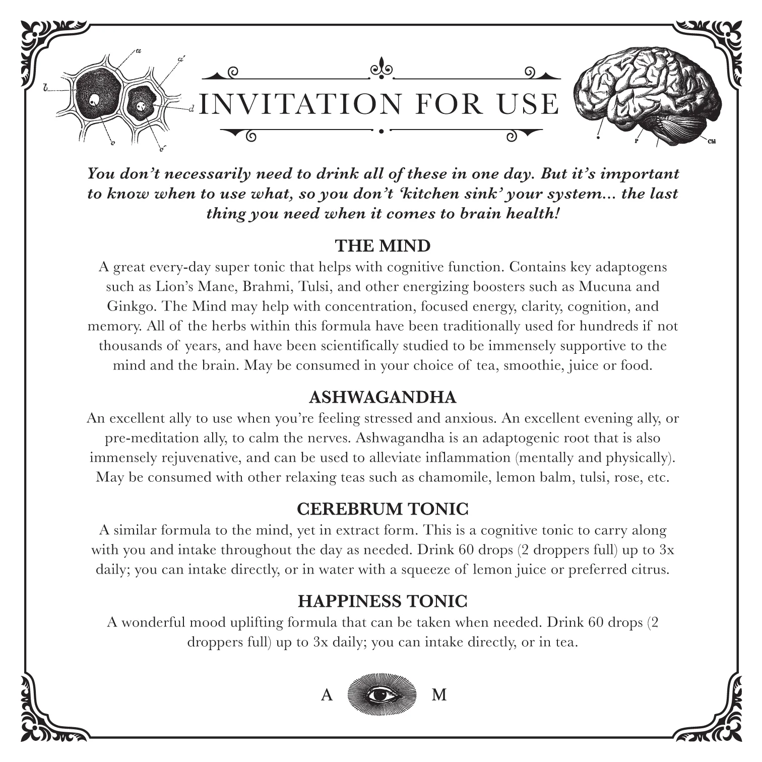 BRAIN KIT | Adaptogenic Nootropics* - Image 6