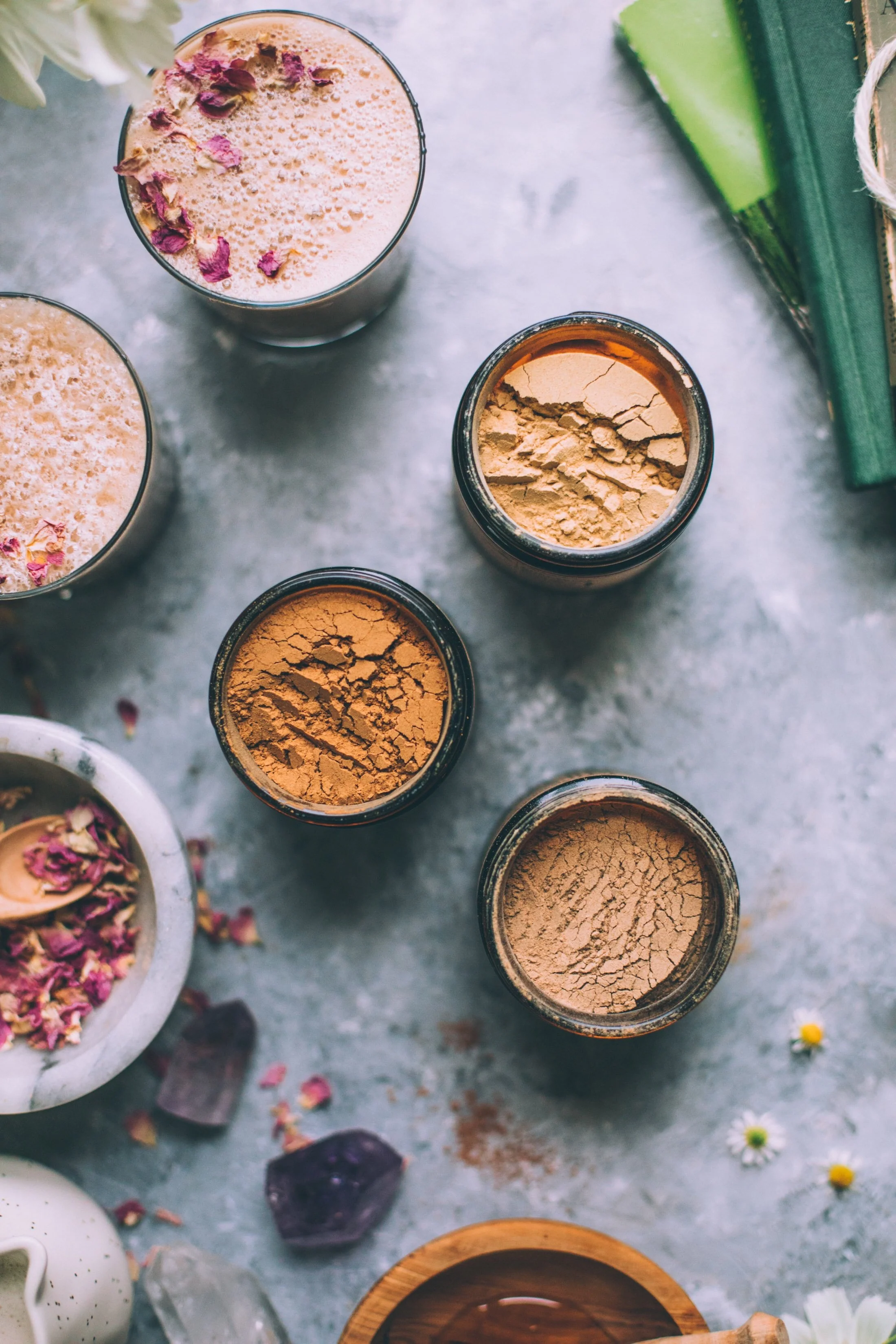 CHAGA | Organic Mushroom Powder, Body Guard* - Image 7