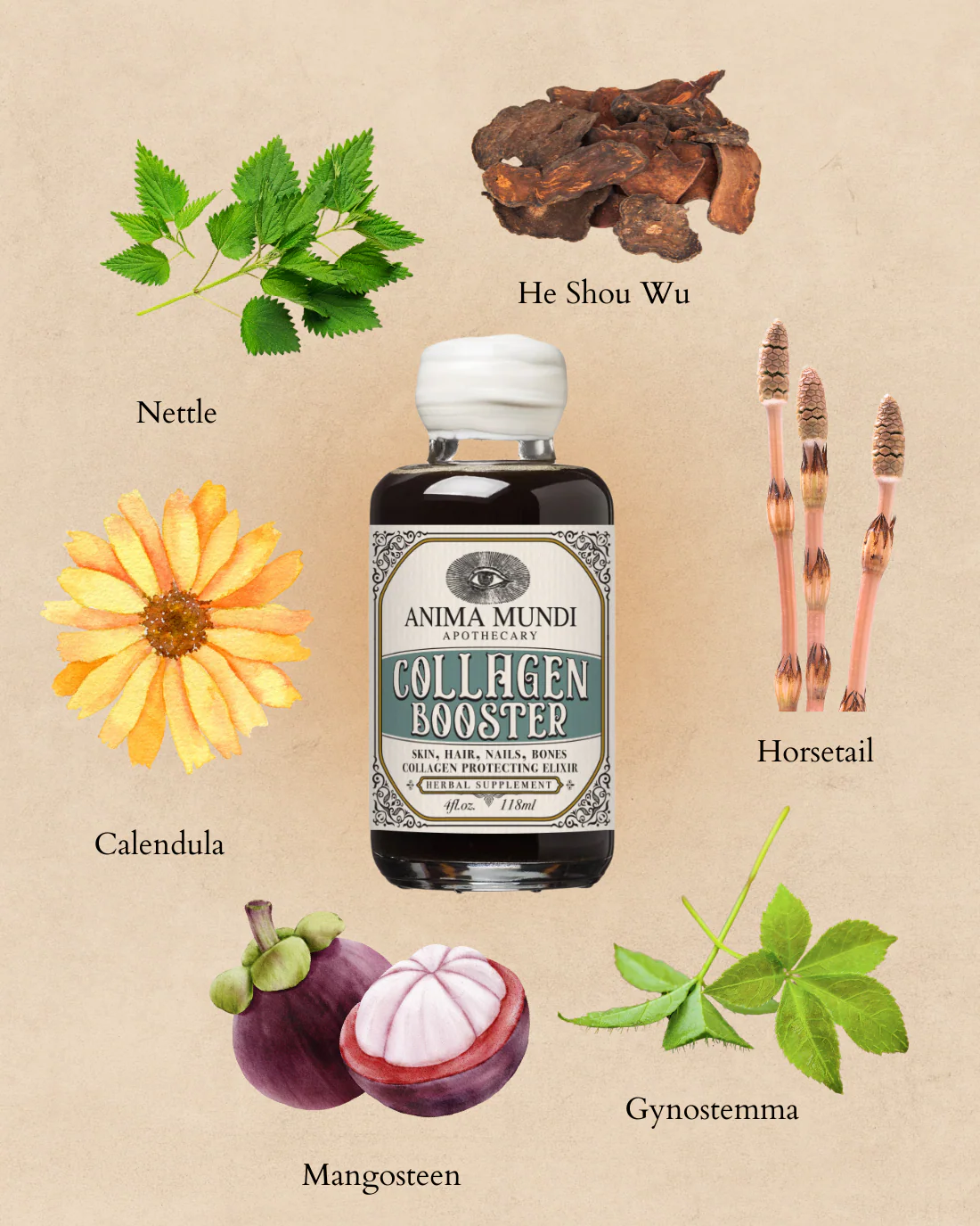 COLLAGEN BOOSTER Elixir | Botanical Radiance - Image 9