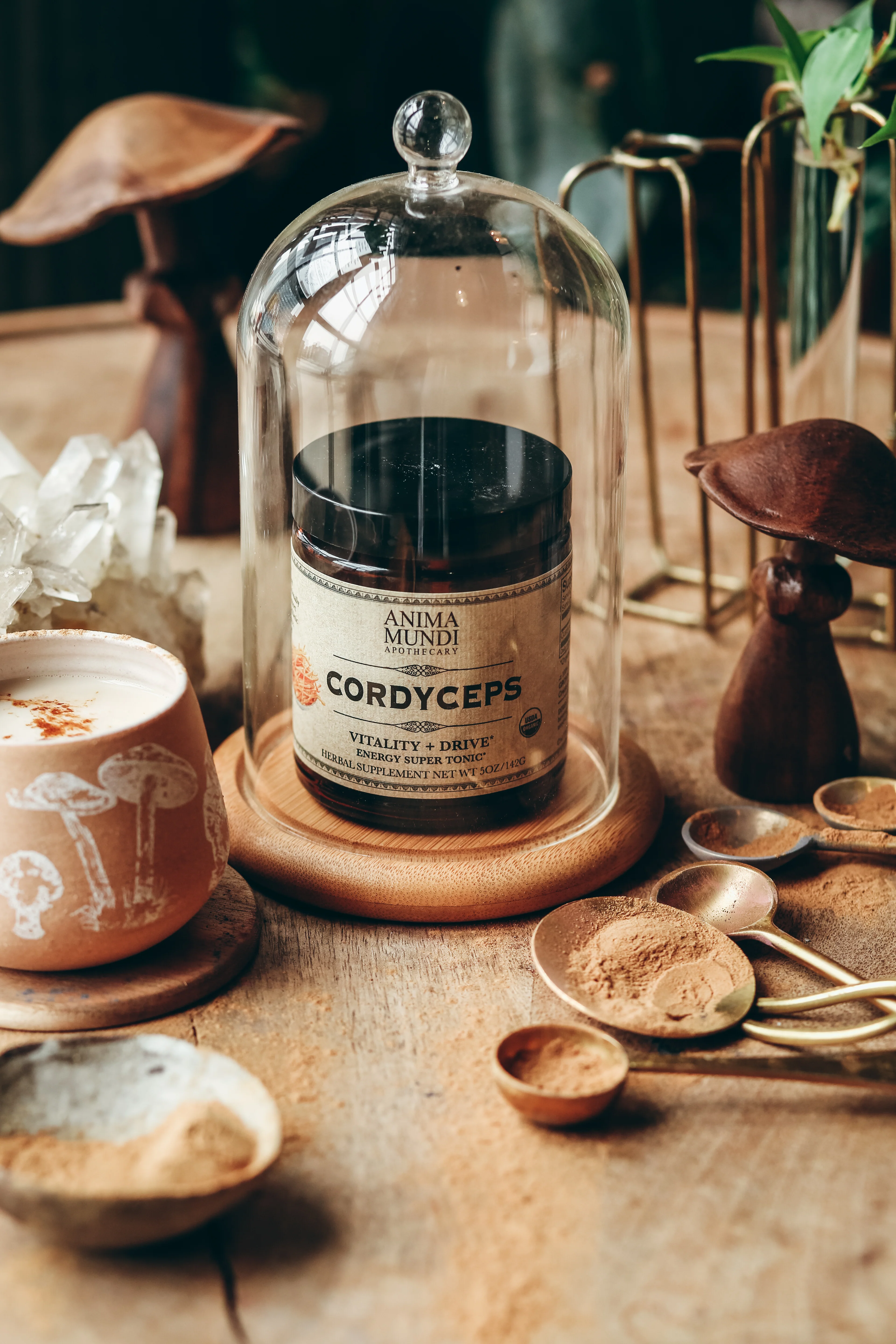 CORDYCEPS | Organic Mushroom Powder, Energy Super Tonic* - Image 3