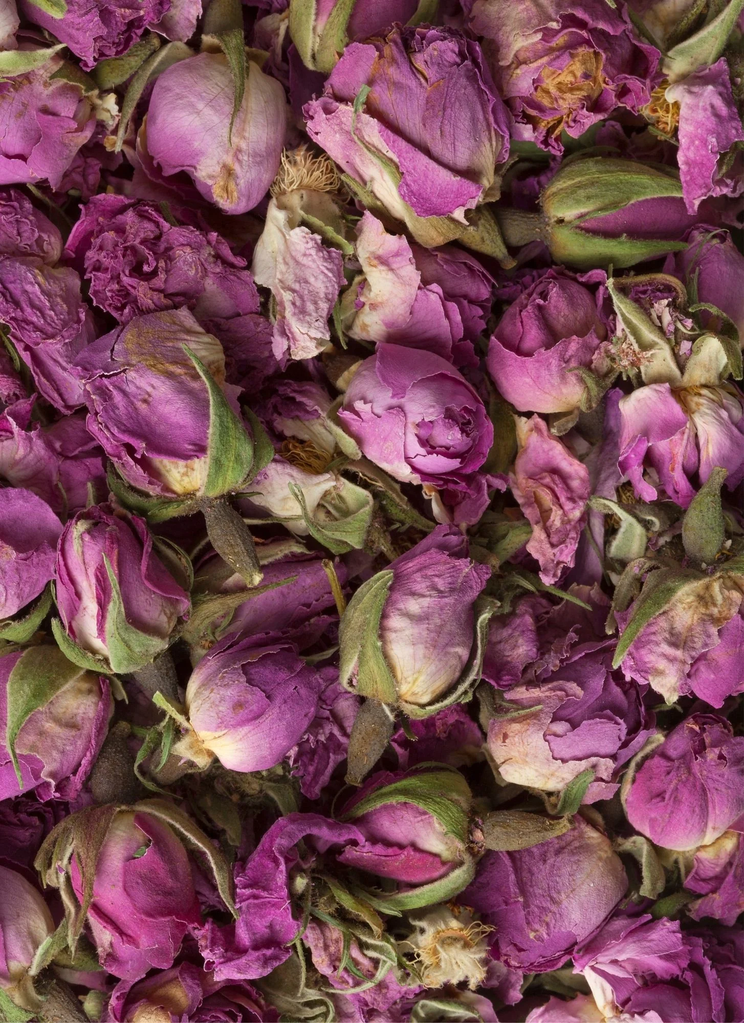 WHOLE ROSE BUDS | Organic Blooms - Image 4