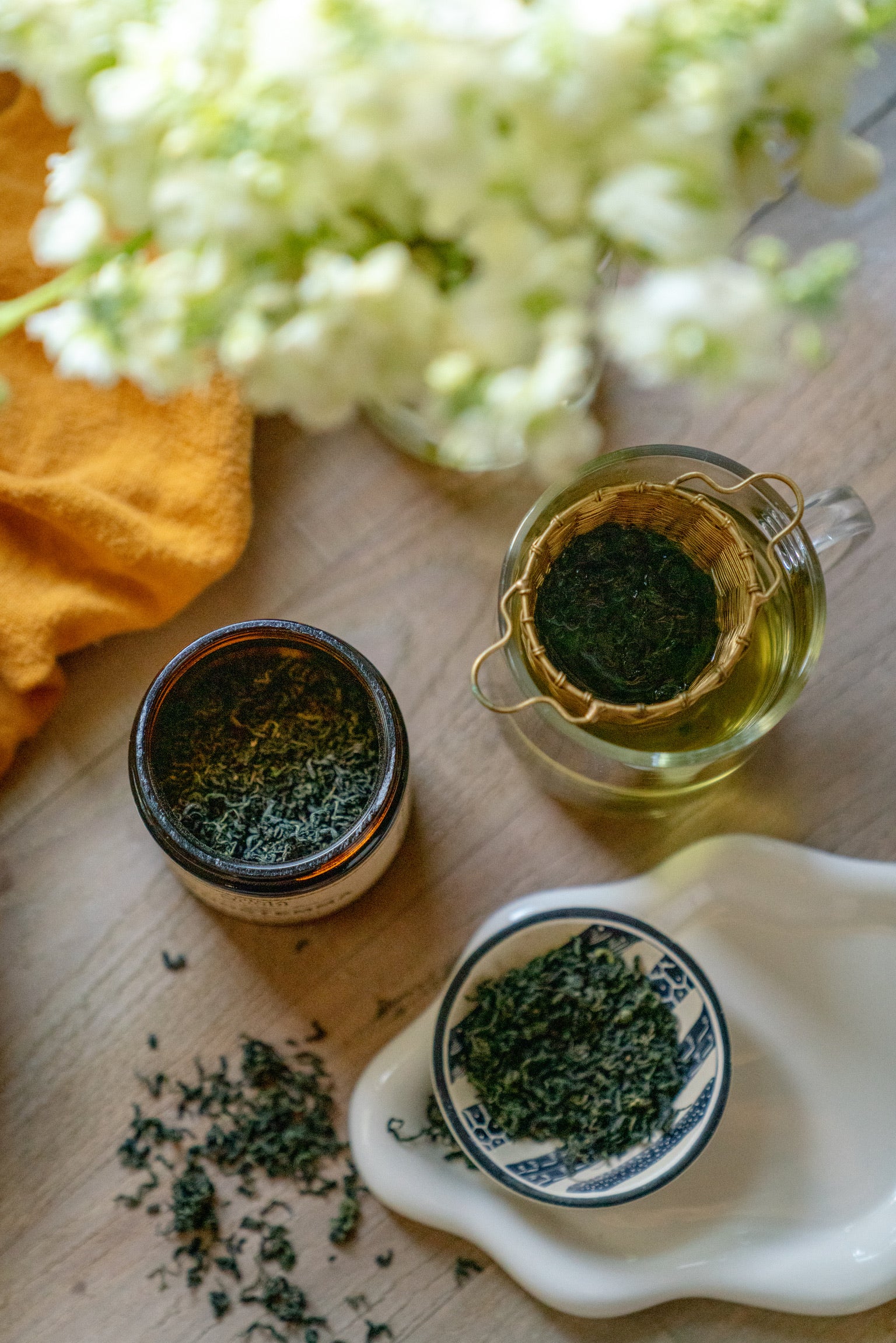 GYNOSTEMMA | Miracle Grass - Image 4