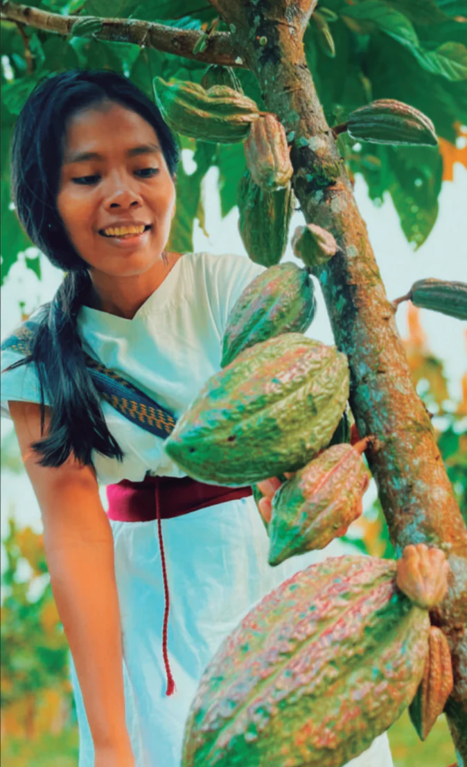 TAYRONA CEREMONIAL CACAO | Indigenous, Organic, Regenerative - Image 10