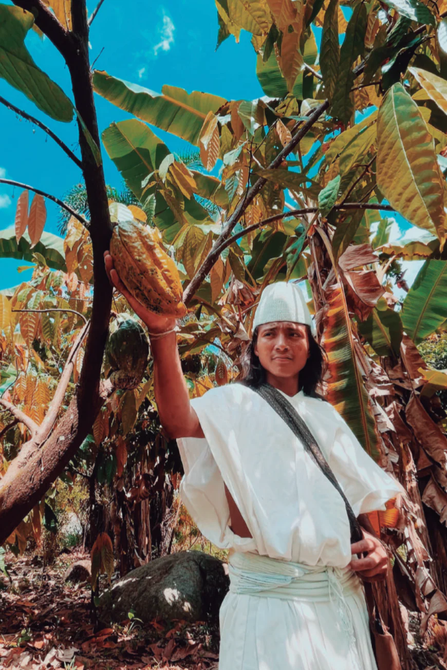 TAYRONA CEREMONIAL CACAO | Indigenous, Organic, Regenerative - Image 9