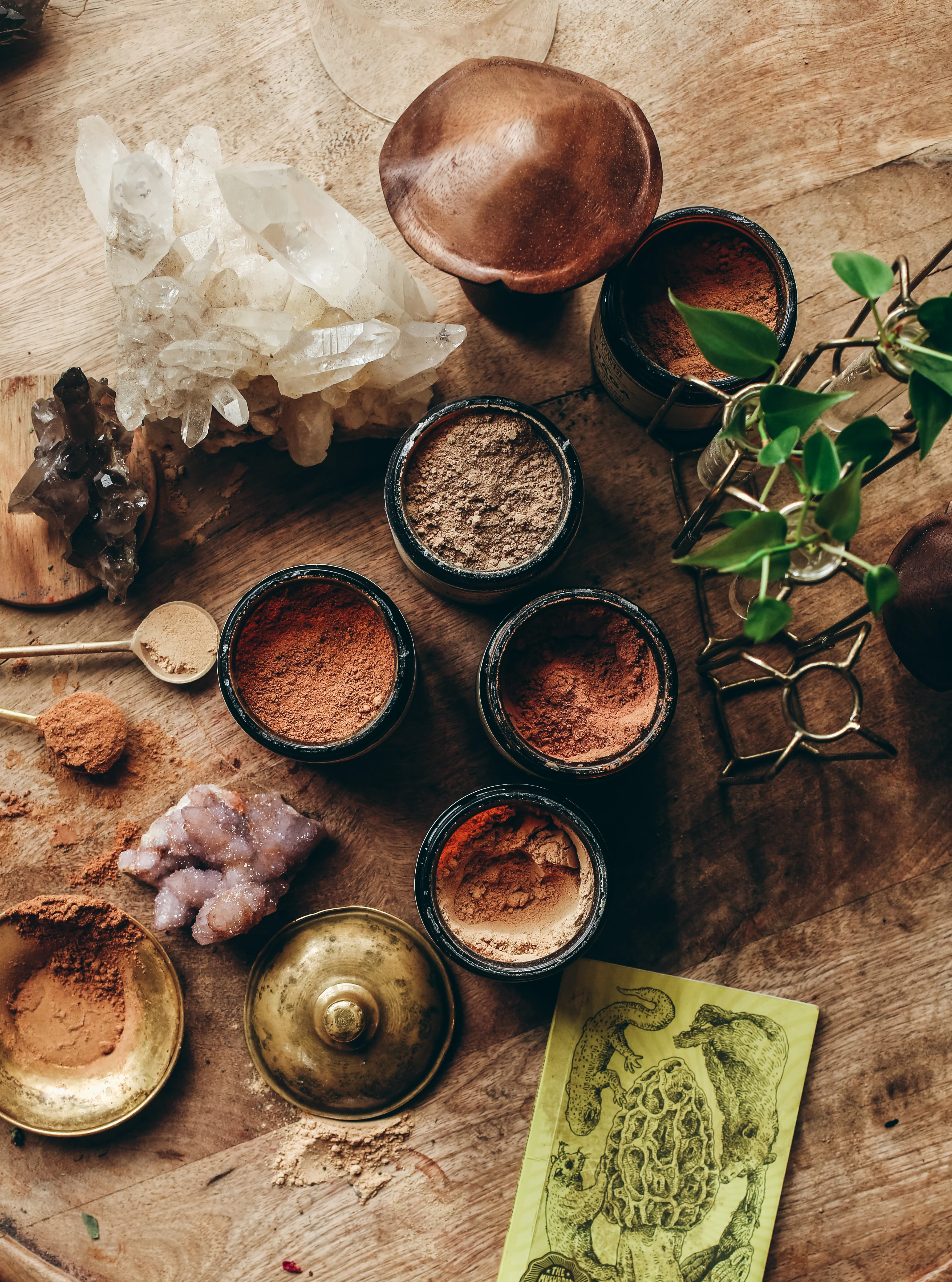 LION'S MANE | Organic Mushroom Powder, Focus Tonic* - Image 4