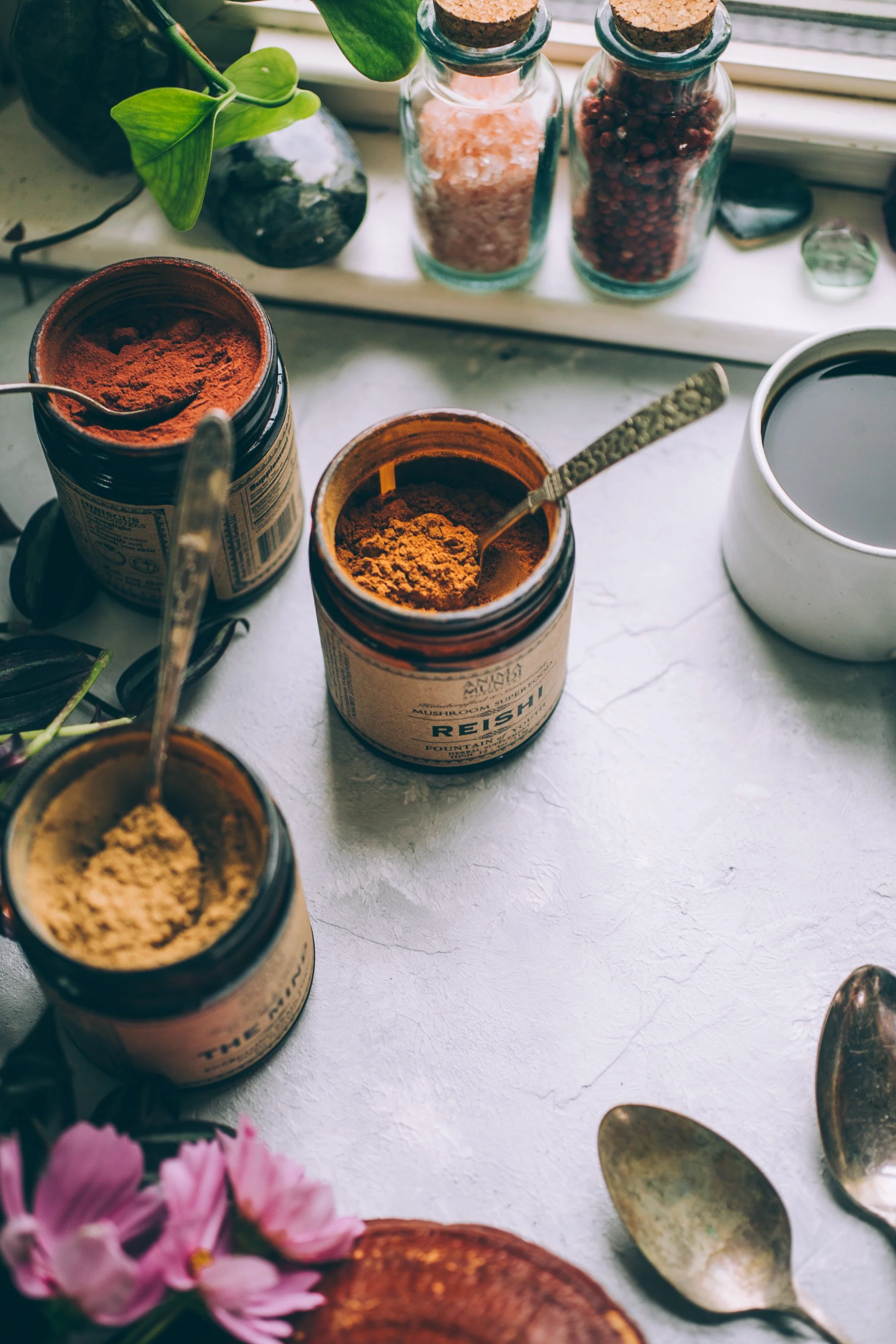 REISHI | Organic Mushroom Powder, Spirit Super-Tonic* - Image 6