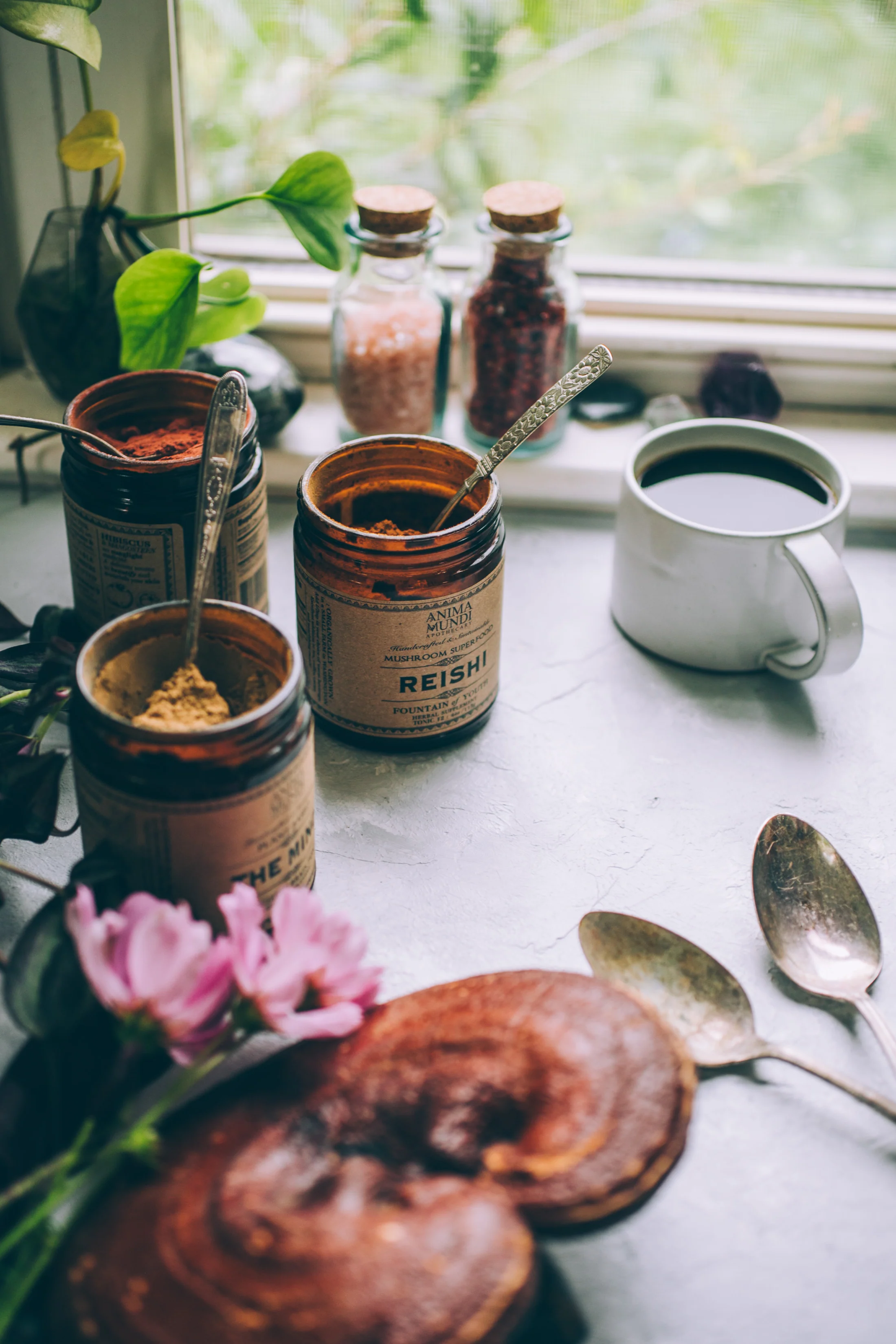 REISHI | Organic Mushroom Powder, Spirit Super-Tonic* - Image 8