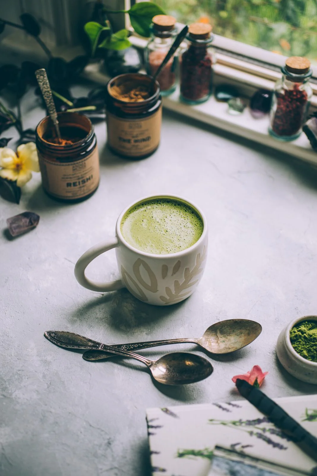 REISHI | Organic Mushroom Powder, Spirit Super-Tonic* - Image 9