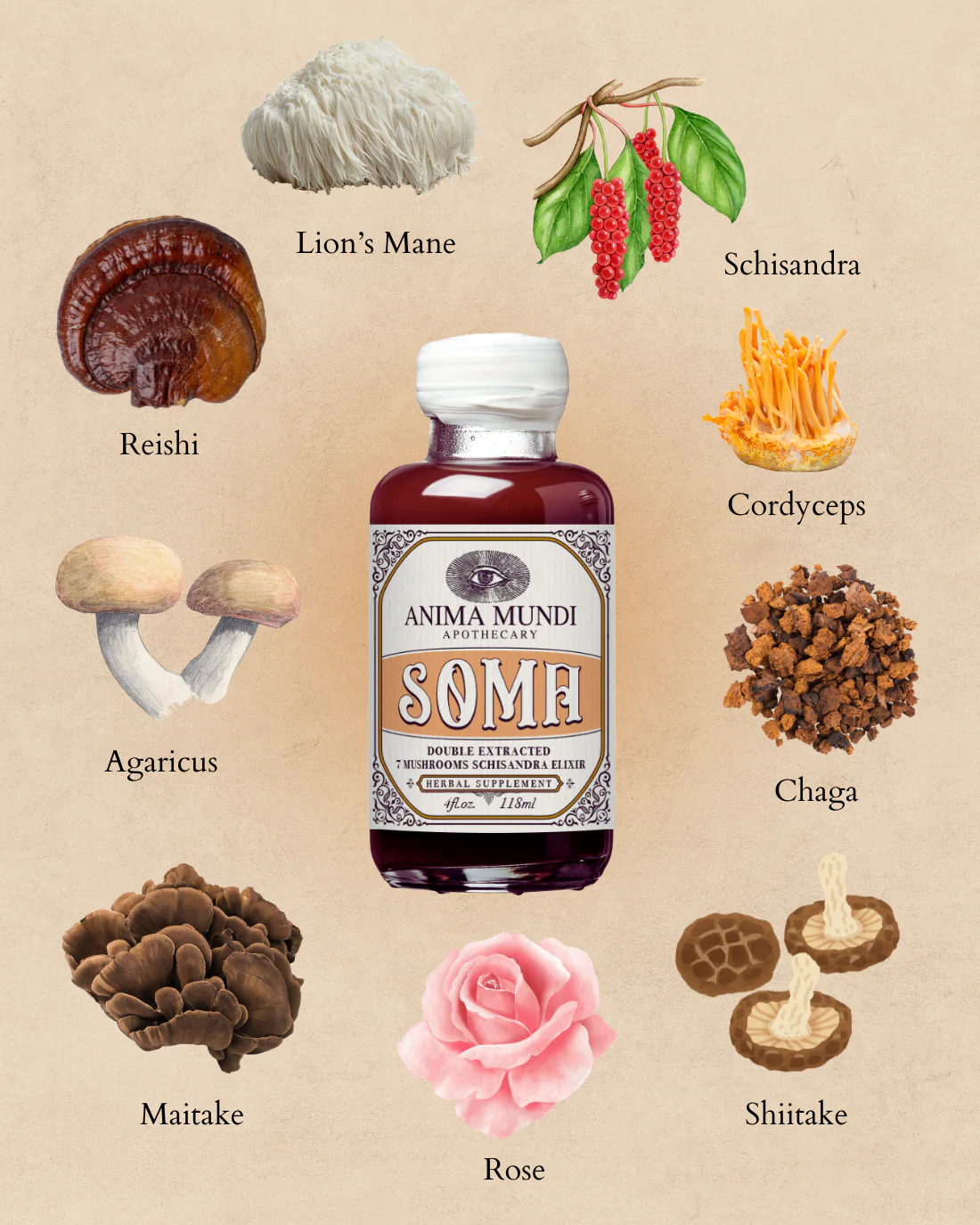 SOMA Elixir | 7 Mushrooms + Schisandra - Image 9