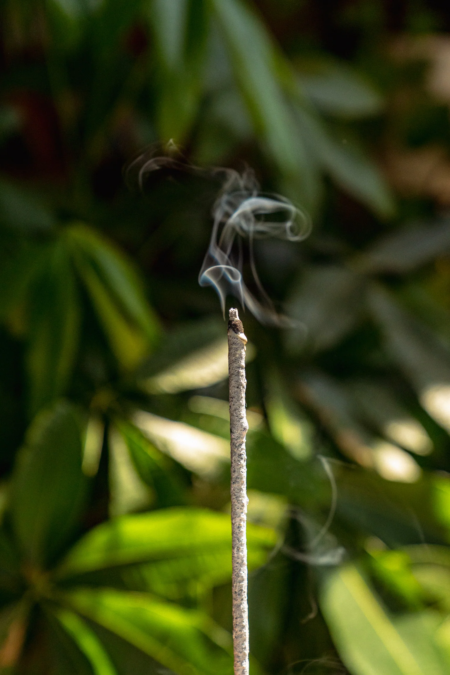 COPAL BLANCO | Handcrafted Natural Resin - Image 3