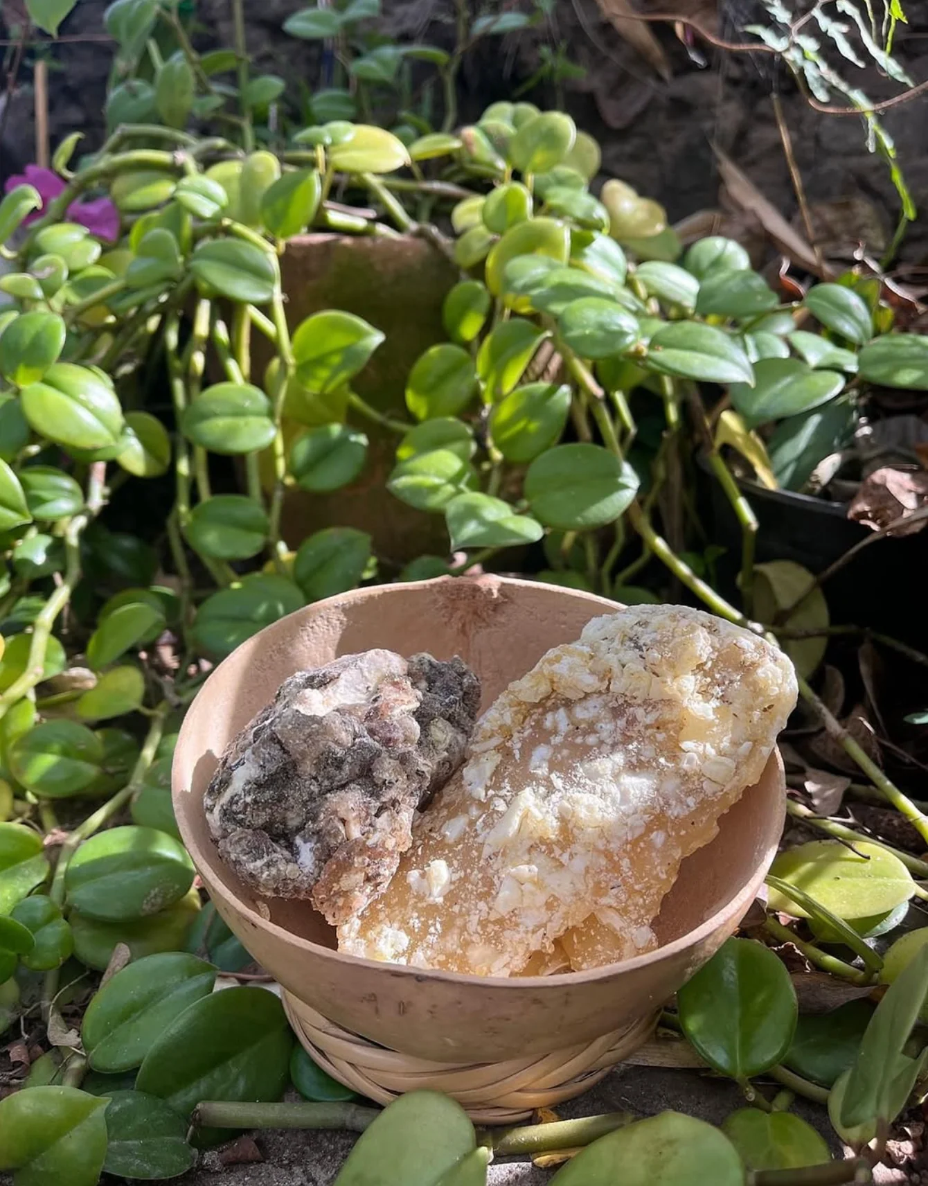 COPAL BLANCO | Handcrafted Natural Resin - Image 6