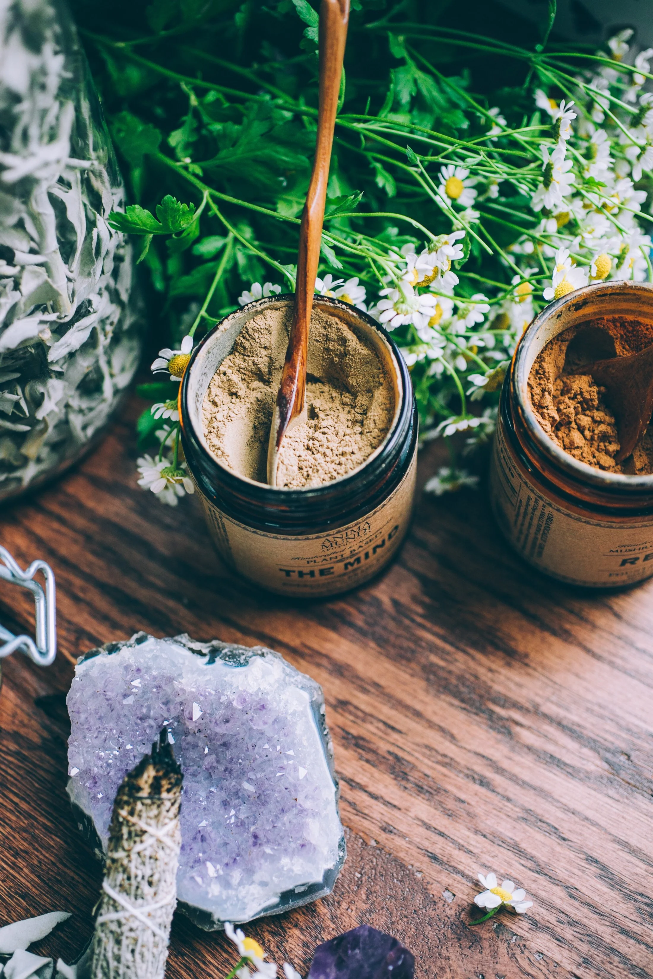 THE MIND | Cognition + Focus* - Image 10