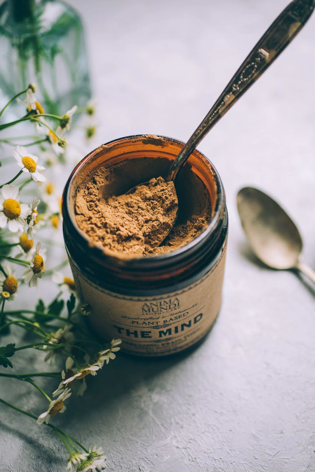 THE MIND | Cognition + Focus* - Image 5