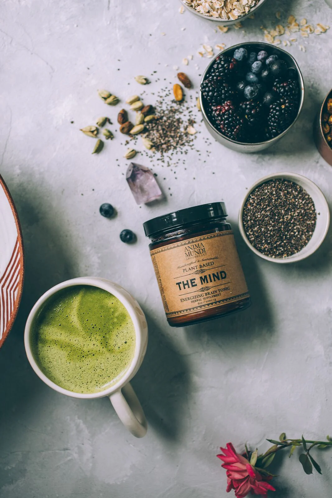 THE MIND | Cognition + Focus* - Image 7