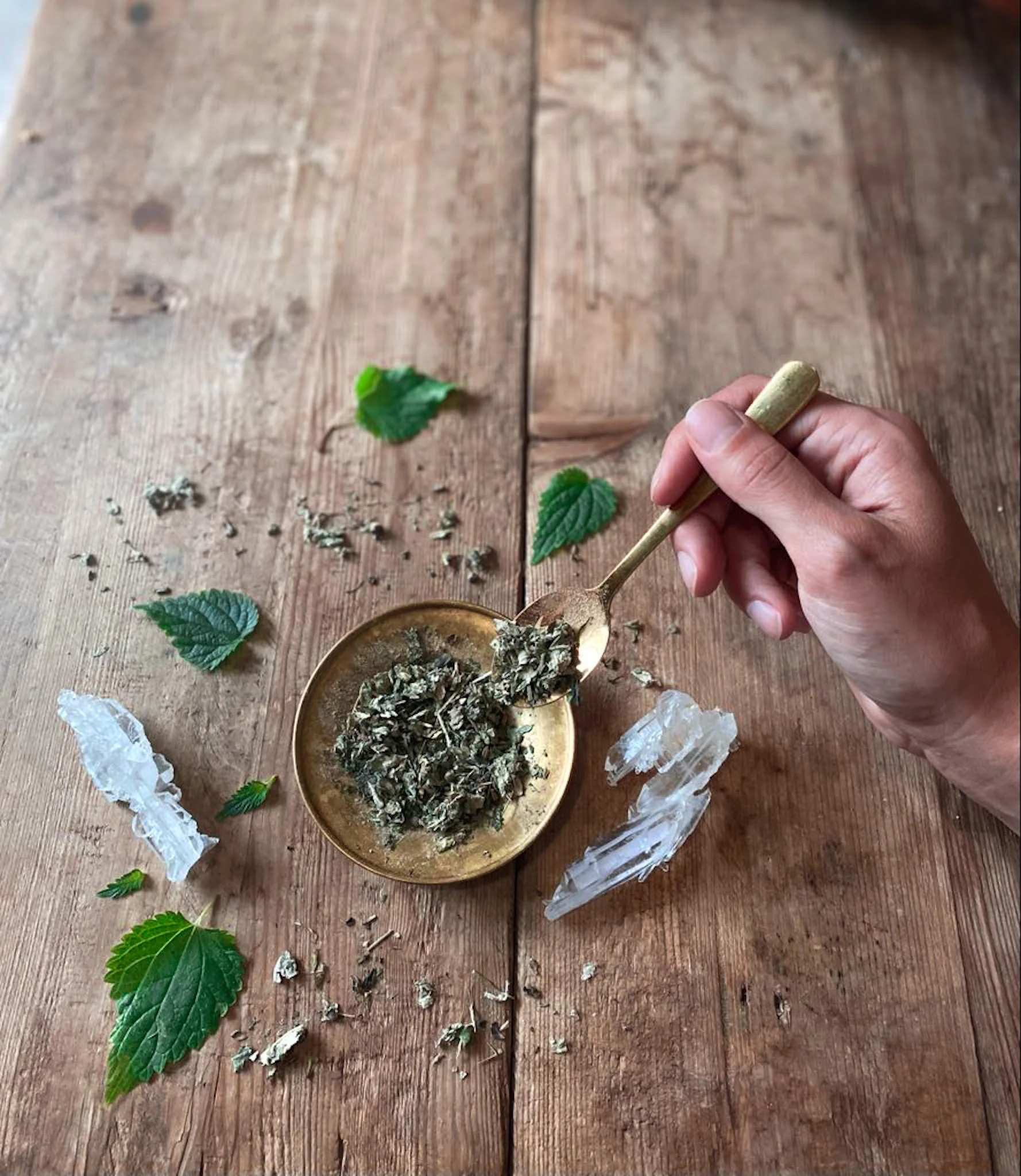 WOMB Tea | Nourish + Empower* - Image 7